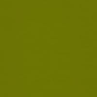 Кромка Олива зеленая 645 / Y11 22*1 мм (глянец) AGT 2гр