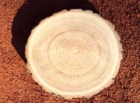 Доска обрезная сухая ясень 50 мм S1 (500-999) АВ