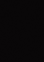 ЛДСП 8 мм 2800*2070 мм Чёрный U999 ST19 8 Egger