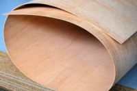 Фанера гибкая сейба SuperFlex 16*1220*2440 мм поперечная CG